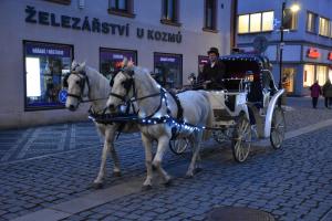 Tříkrálový průvod 2023 1